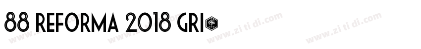 88 Reforma 2018 Gri字体转换